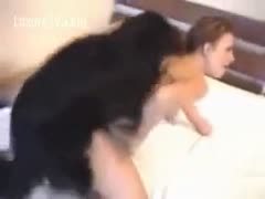 A K9 takes it from behind as a petite college-aged, legal-age kid makes her beastiality debut.